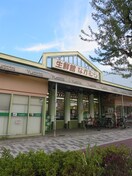 生鮮館なかむら 下鴨店(スーパー)まで550m 京都市左京区下鴨松ノ木町貸家