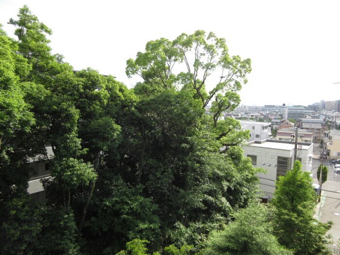 室内からの展望 白鷹松下マンション