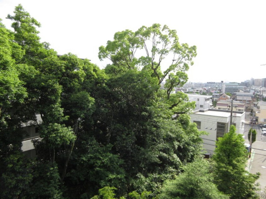 室内からの展望 白鷹松下マンション