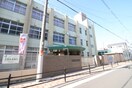 大阪市立安立小学校(小学校)まで600m ウィン　あんりゅう