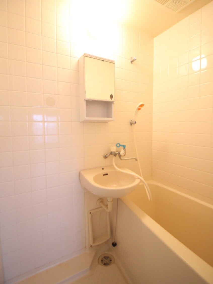 洗面 ストークインラピタ