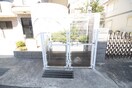 その他 マリア立花