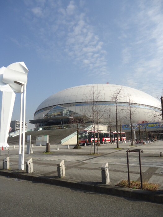 東和薬品RACTABドーム(公園)まで160m ＯＰＵＳ　ＯＮＥ