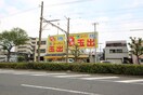 スーパー玉出神明店(スーパー)まで350m ラピート堺