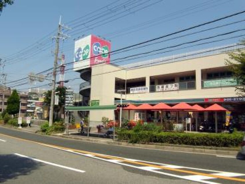 コープ福田(スーパー)まで1700m パームハイツ