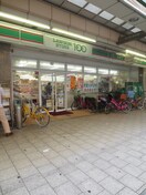 ローソン１００(コンビニ)まで300m ドミツィール福
