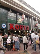 コーヨー(スーパー)まで800m ドミツィール福