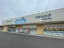 ウエルシア(ドラッグストア)まで1300m メゾンアルディ