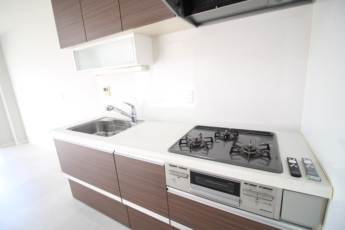 キッチン メゾン茨木（515）