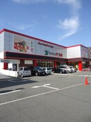 アプロplus門真店(スーパー)まで1400m パークハイツ