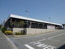 アヤハディオ(電気量販店/ホームセンター)まで850m 仲善ﾊｲﾂ