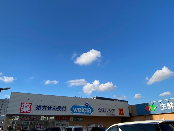 ウェルシア(ドラッグストア)まで600m セーヌ東岸和田