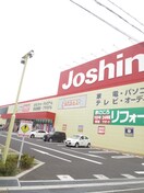 ジョーシン鳳店(電気量販店/ホームセンター)まで900m 浜寺ギャラリーコート