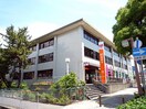 郵便局(郵便局)まで202m パインガーデン芦屋川PHⅠC棟