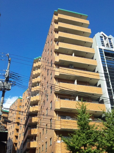 外観写真 ﾗｲｵﾝｽﾞﾏﾝｼｮﾝ京都河原町(911)