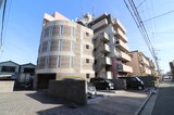 Ysｺｰﾄ蘭びっく