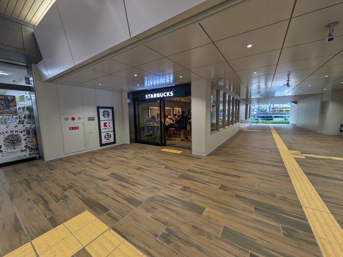 スターバックス(カフェ)まで100m 草薙ビル