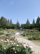 靭公園(公園)まで200m Park　Hills