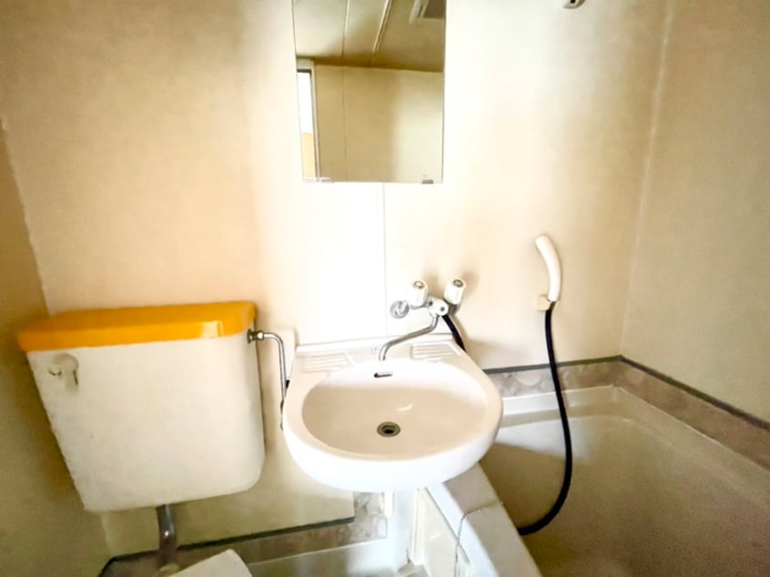 洗面 パラレル城内