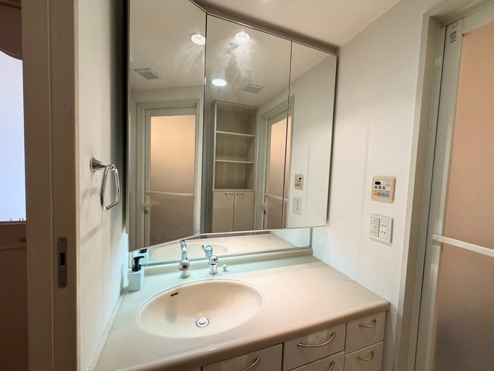 洗面 セレッソコート甲子園口（408）