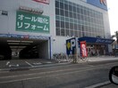 エディオン(電気量販店/ホームセンター)まで400m ドルフミヤタ