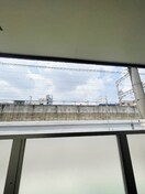 ベランダ・バルコニー セントポーリア梅園