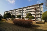 浅香山住宅14棟（507）