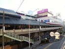 イオン　京橋店(ショッピングセンター/アウトレットモール)まで900m エクセレント中道