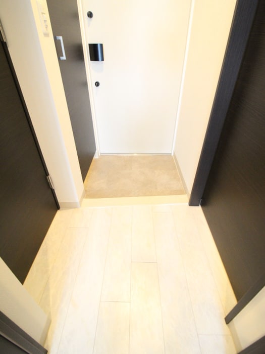 廊下 ｴｽﾃﾑｺｰﾄ谷町九丁目(1002)