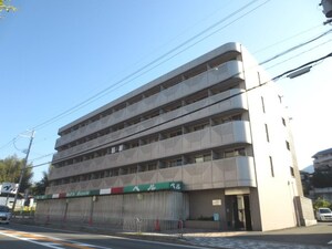 ﾋﾟｱﾌﾟﾚﾐｰﾙ