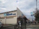 マルハチ(スーパー)まで250m フロ－リッシュ・崇徳院