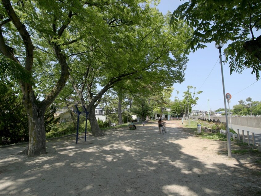 清水広場(公園)まで461m Ｄ－ｒｅｓｉｄｅｎｃｅ服部本町