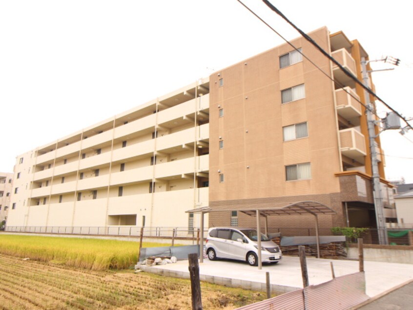 外観写真 シエテ南塚口