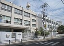 大阪市立加賀屋中学校(中学校/中等教育学校)まで800m シュテルンパラスト鈴栄