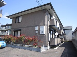 ホワイトマルベリ－