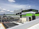 ロイヤルホームセンター(電気量販店/ホームセンター)まで1300m ハイツＫ・Ｉ