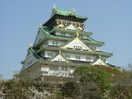 大阪城(公園)まで700m ﾌﾟﾘ-ｵ-ﾙ