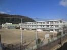 八幡小学校(小学校)まで471m サンコート吉野