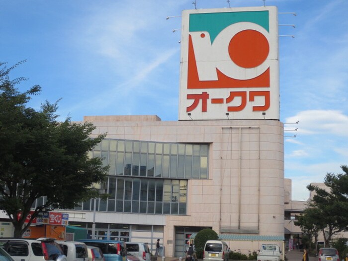 わくわくシティ(ショッピングセンター/アウトレットモール)まで550m レユシール谷村 三番館
