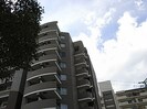 ラナップスクエア阿波座（502）の外観