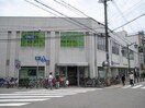 三井住友銀行　塚口支店(銀行)まで500m マインハイツ