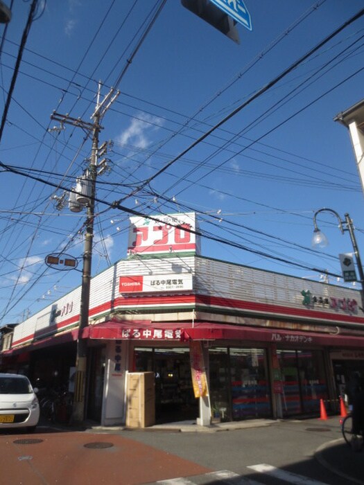 食品館アプロ　守口藤田店(スーパー)まで180m エルハイツ