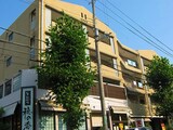 サイプレス