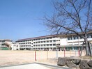 鳴尾東小学校(小学校)まで330m フェリオ鳴尾