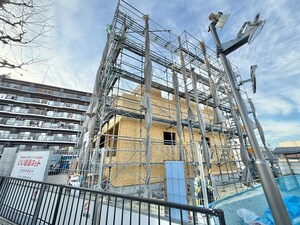 ガーデン・アイリス