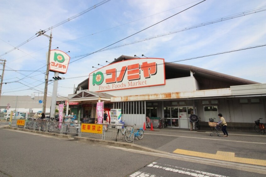 コノミヤ浜寺石津店(スーパー)まで100m フジパレス浜寺石津東