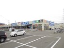 コーナン堺店(電気量販店/ホームセンター)まで1200m フジパレス浜寺石津東
