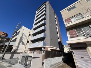 ｴﾇｴﾑｷｬｯﾄﾌｳﾞｧﾝﾕｲｯﾄ