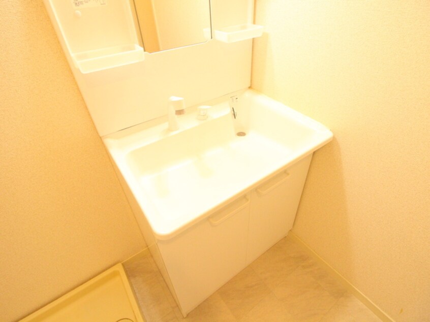 洗面 メゾンデスバンフー