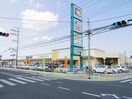 フレンドマート(スーパー)まで270m クラ－ル・ＴＹ